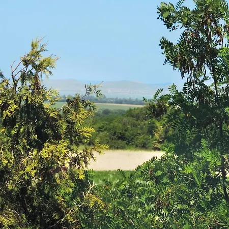 Дом отдыха Toereki Mit Pool