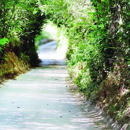 Toereki Mit Pool Шиофок