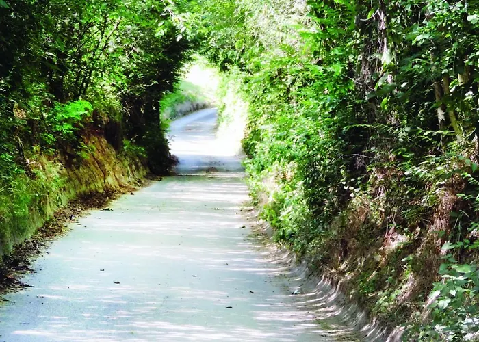 Toereki Mit Pool שיופוק